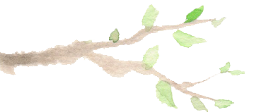 小枝1