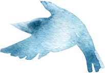 青い鳥