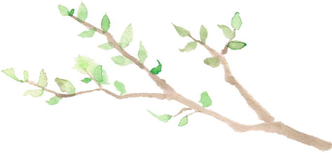 小枝