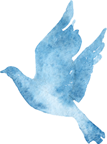 青い鳥