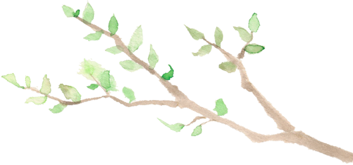 小枝