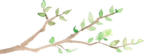 小枝