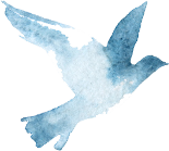 青い鳥